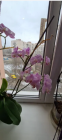 Продам двухкомнатную квартиру - ул. Василевского улица, 63б, г. Славянск (9670-593) | Dom2000.com #67131094