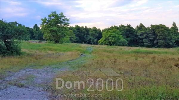 For sale:  land - Sithonia (6871-595) | Dom2000.com