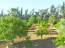 Продам будинок - Cyprus (4111-599) | Dom2000.com #32122881