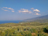 For sale:  land - Volos (5459-599) | Dom2000.com