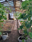 For sale:  home - снт. Geofizik (10503-601) | Dom2000.com #76051939
