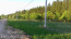 For sale:  land - д. Verhnee Shahlovo (10638-601) | Dom2000.com #77855817