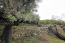 For sale:  land - Kerkyra (Corfu island) (7343-603) | Dom2000.com #49007015