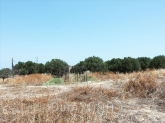 Продам земельну ділянку - Iraklion (crete) (4116-605) | Dom2000.com
