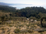 For sale:  land - Thasos (4118-606) | Dom2000.com #24535221