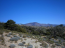 For sale:  land - Thasos (4118-606) | Dom2000.com #24535227