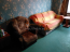 Lease 2-room apartment - улица Благоева, Herson city (10041-607) | Dom2000.com #70888284