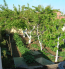For sale:  home - Asprovaltа (4120-607) | Dom2000.com #24555506