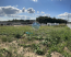 For sale:  shop - Domodedovo city (10487-609) | Dom2000.com #76071566