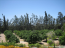For sale:  home - Cyprus (4111-610) | Dom2000.com #32122925