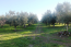 For sale:  land - Chalkidiki (4114-610) | Dom2000.com #24491859