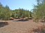 For sale:  land - Pelloponese (4110-611) | Dom2000.com #24448918