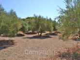 For sale:  land - Pelloponese (4110-611) | Dom2000.com