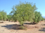 For sale:  land - Pelloponese (4110-611) | Dom2000.com #24448921