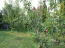 For sale:  home - Kiyevo-Svyatoshinskiy rayon (4409-611) | Dom2000.com #69036453