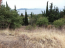 For sale:  land - Athos (6859-611) | Dom2000.com #45580281