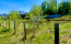 For sale:  land - Russia (10487-612) | Dom2000.com #75812733