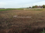 For sale:  land - с. Sofino (10639-613) | Dom2000.com #77866255