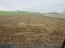For sale:  land - с. Sofino (10639-613) | Dom2000.com #77866257