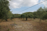 For sale:  land - Sithonia (4112-613) | Dom2000.com