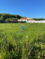 For sale:  land - 340 str., д. Kubasovo (10544-614) | Dom2000.com #76456371
