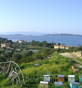 For sale:  land - Athos (4120-614) | Dom2000.com