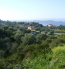 For sale:  land - Athos (4120-614) | Dom2000.com #24555608