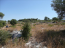 For sale:  land - Epirus (4117-619) | Dom2000.com #24524724