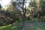 For sale:  land - Kerkyra (Corfu island) (4114-621) | Dom2000.com #24491965
