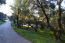 For sale:  land - Kerkyra (Corfu island) (4114-621) | Dom2000.com #24491968