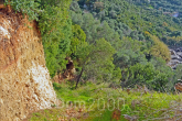For sale:  land - Kerkyra (Corfu island) (4114-621) | Dom2000.com