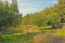 For sale:  land - Kerkyra (Corfu island) (4114-621) | Dom2000.com #29581650