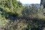 For sale:  land - Kerkyra (Corfu island) (4114-622) | Dom2000.com #24491973
