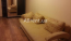 Lease 2-room apartment - Семьи Кульженков, 33, Obolonskiy (9181-622) | Dom2000.com #62697177