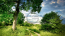 For sale:  land - д. Kostromino (10614-623) | Dom2000.com #77211280
