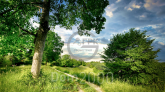 For sale:  land - д. Kostromino (10614-623) | Dom2000.com