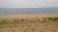 For sale:  land - Sithonia (4117-627) | Dom2000.com #24524814