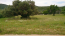 For sale:  land - Sithonia (4117-627) | Dom2000.com #24524820