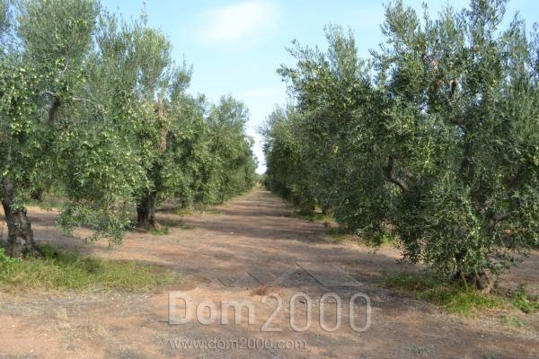 Продам земельный участок - Халкидики (5459-627) | Dom2000.com