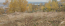 For sale:  land - Качугская улица str., Irkutsk city (10633-629) | Dom2000.com #77794272