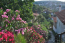 For sale:  home - Chalkidiki (7672-630) | Dom2000.com #51332195