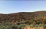 For sale:  land - Athos (6483-631) | Dom2000.com #42902936