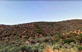 For sale:  land - Athos (6483-631) | Dom2000.com