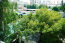 Lease 2-room apartment - Chokolivka (6652-632) | Dom2000.com #44084249