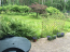 Lease home - Edinburgas prospekts 1 str., Jurmala (4267-636) | Dom2000.com #25622797