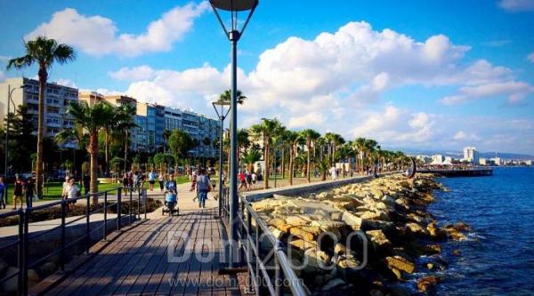 For sale:  shop - Cyprus (5459-638) | Dom2000.com