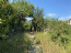 For sale:  land - Колхозная ул., Kyivs'kyi (9625-639) | Dom2000.com #66685260