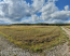 For sale:  land - д. Pravoe Yascherovo (10638-643) | Dom2000.com #77856492