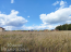 For sale:  land - д. Pravoe Yascherovo (10638-643) | Dom2000.com #77856496