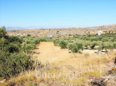 Продам земельну ділянку - Iraklion (crete) (4116-643) | Dom2000.com